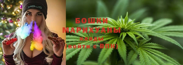 индика Лихославль