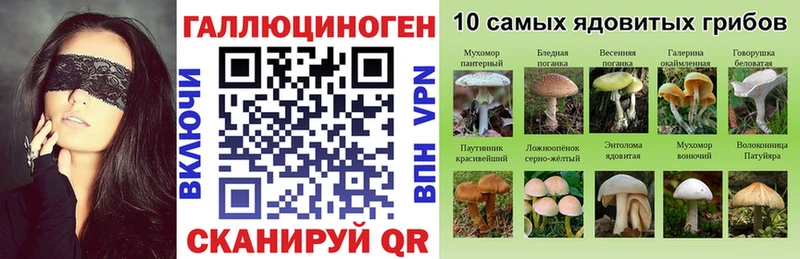Галлюциногенные грибы GOLDEN TEACHER Тверь